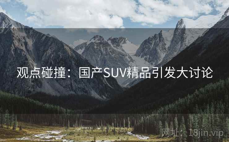 观点碰撞：国产SUV精品引发大讨论  第2张