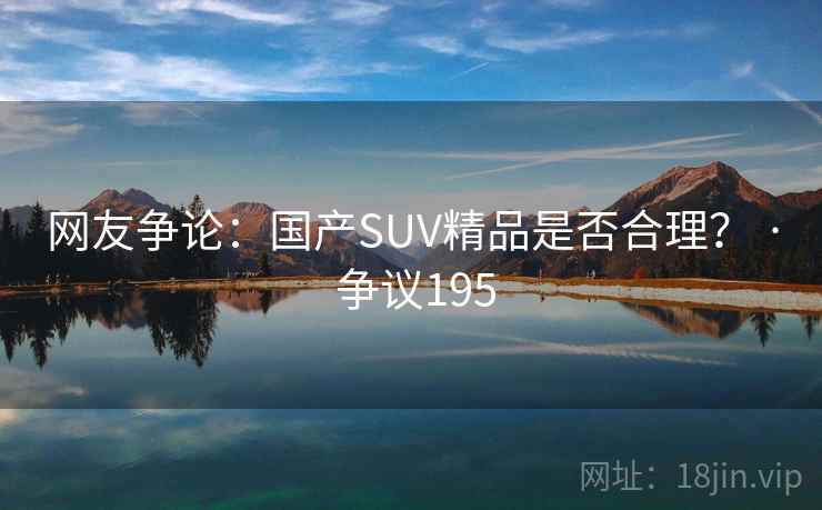 网友争论:国产SUV精品是否合理? · 争议195  第2张 网友争论:国产SUV精品是否合理? · 争议195  第2张