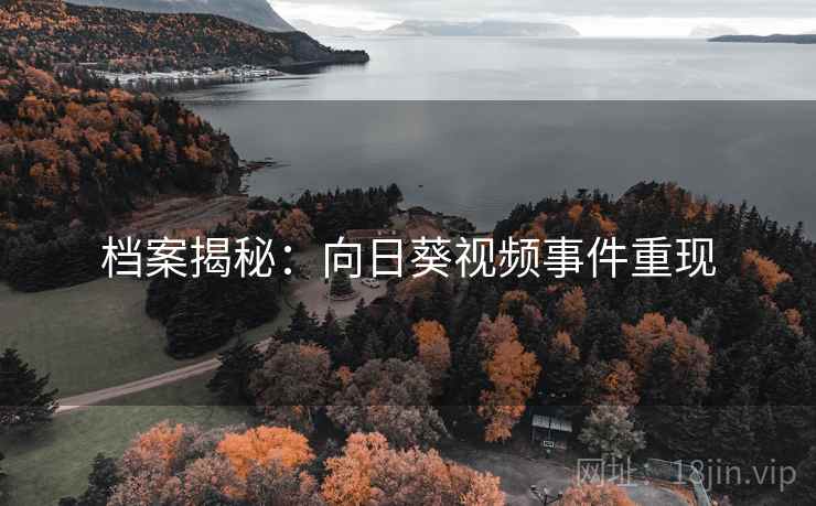 档案揭秘:向日葵视频事件重现