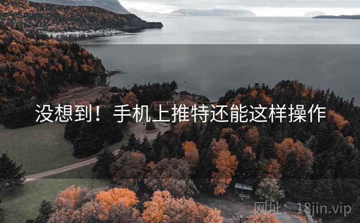 没想到!手机上推特还能这样操作