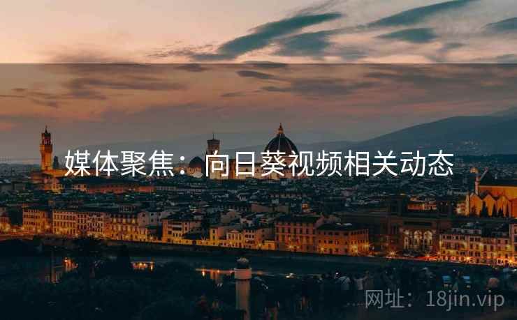 媒体聚焦:向日葵视频相关动态
