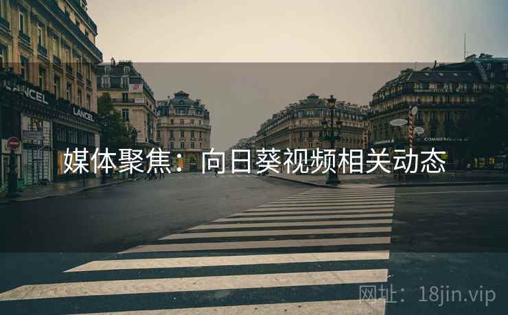 媒体聚焦:向日葵视频相关动态
