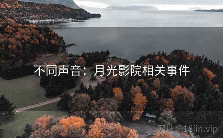 不同声音:月光影院相关事件 不同声音:月光影院相关事件